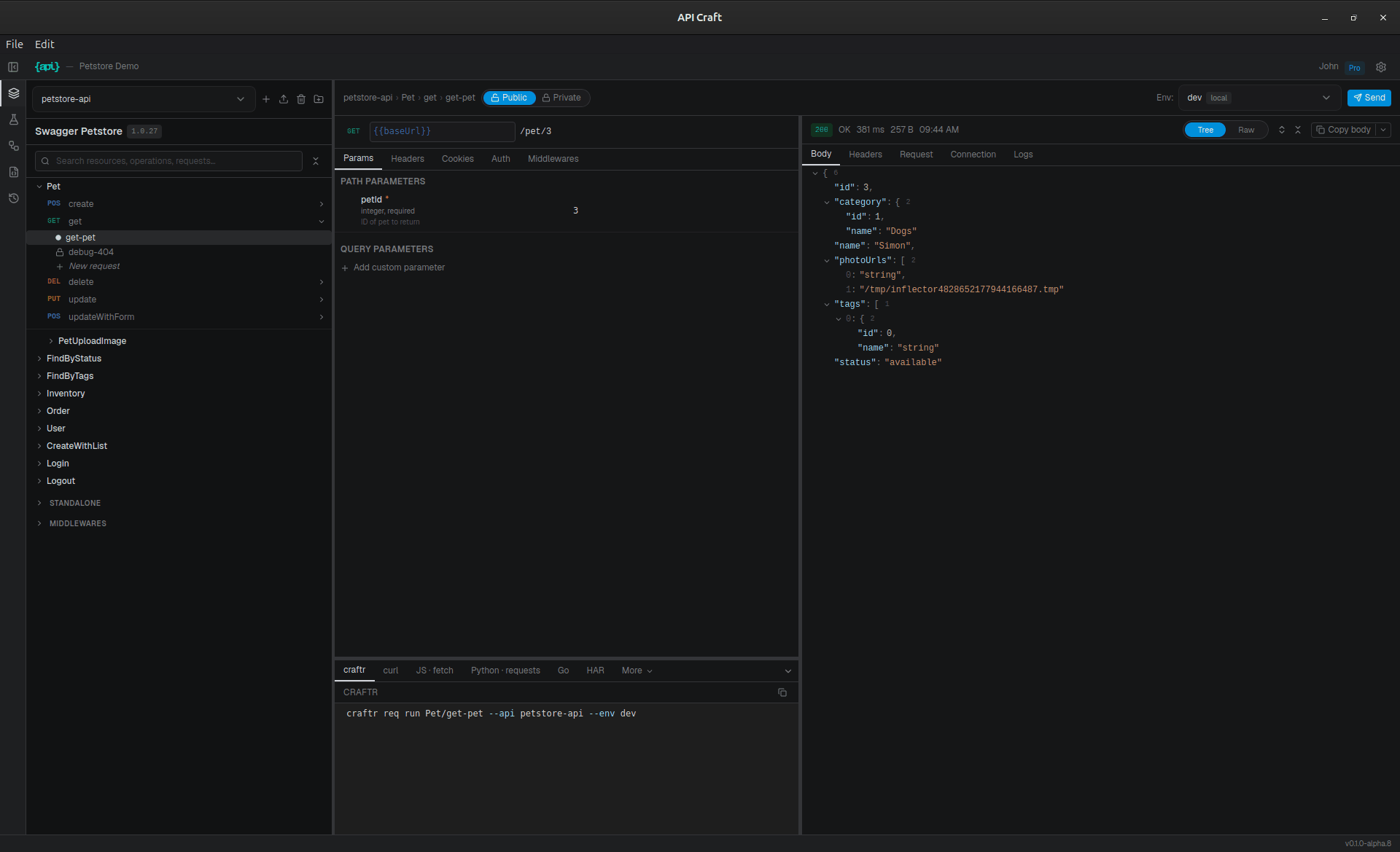 Resource tree, request editor and response panel, with the equivalent craftr command below